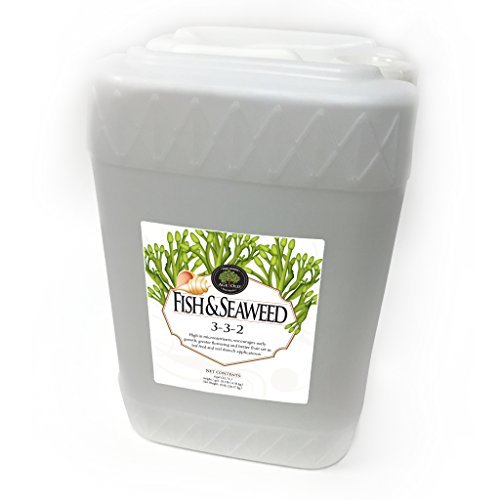Age Old Fish and Seaweed Liquid Fertilizer, 6-Gallon