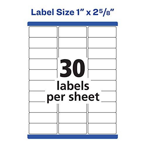 Avery Waterproof Address Labels with Sure Feed & TrueBlock 1" x 2-5/8", 15,000 White Labels (95520)