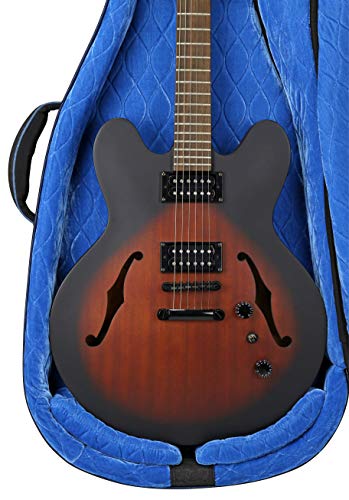 Reunion Blues RBCSH RB Continental Voyager Semi/Hollow Body Electric Guitar Case