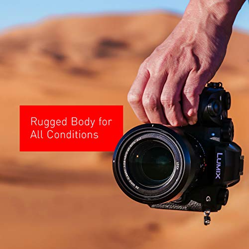Panasonic 20.3 Megapixel Mirrorless Camera 12-60mm F3.5-5.6 Micro Four Thirds Lens 5-Axis Dual I.S. 2 4K 24p 30p Video Pre Installed L 3” Flip Out