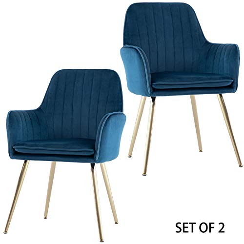GOLDEN BEACH 2Pc Elegant Velvet Dinning Modern Leisure Upholstered Chair w/ Gold Plating Legs (Navy Blue)