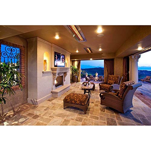 Infratech Wd-Series 61 1/4-inch 6000w Dual Element Electric Infrared Patio Heater - 240v - Stainless Steel - Wd6024ss