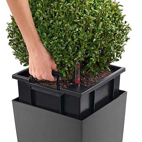 LECHUZA CUBICO 40 Self Watering Planter Garden Flower Plant Pot Indoor/Outdoor Floor Planter with Drainage Hole and Plant Substrate Poly Resin H75 L40 W40 cm Black High-Gloss