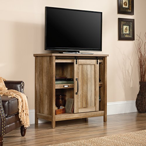 Sauder Adept Storage Accent Storage Cabinet, For TV's up to 39", Craftsman Oak finish