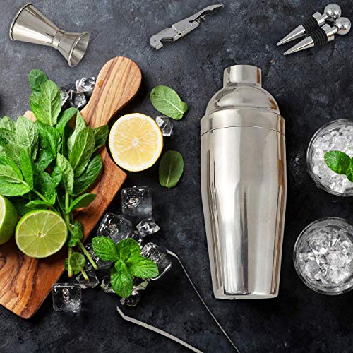 20 Piece Cocktail Shaker Bartender Kit: hIGH Quality Stainless Steel Bar Tools/Accessories With Bamboo Stand. Velvet Bag Included.