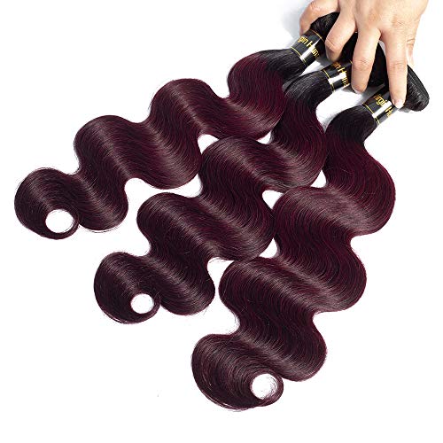 12A Brazilian Remy Hair Body Wave Bundles with Closure 2 Tone Ombre Hair 20" 18" 16" with 14" Free Part Burgundy Dark Wine Red Two Tone Ombre Bundles with Lace Closure