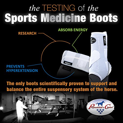 Professional's Choice ♦ VENTECH Elite Equine Sports Medicine Boots Set of 4 ♦ All Sizes & Colors (Raspberry, Large)