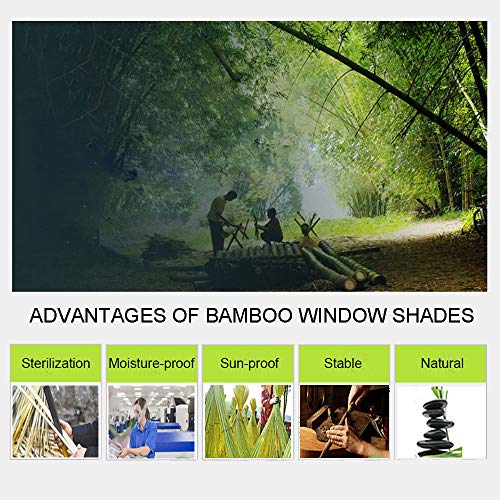 ZY Blinds Bamboo Window Blinds, Light Filtering Roll Up Blinds with Valance, 77" W x 48" L, Pattern 9