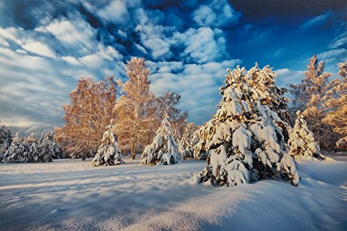 13" X 19" Cold Press Watercolor Fine Art Inkjet Paper - 50 Sheets