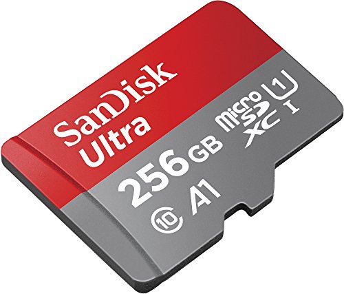 Lenovo Smart Tab P10 10.1" Android Tablet 64GB with SanDisk 256GB Ultra MicroSDXC UHS-I Memory Card with Adapter - 100MB/s, C10, U1, Full HD, A1, Micro SD Card - SDSQUAR-256G-GN6MA Bundle