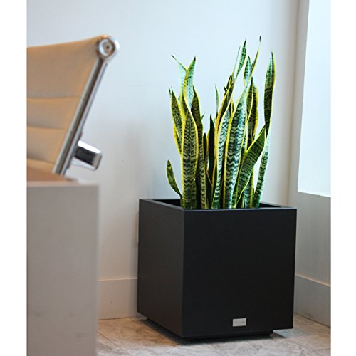 Veradek Metallic Series Galvanized Steel Large Cube Planter, 28-Inch Height by 27-Inch Width by 27-Inch Length, Black (CUVLGB)