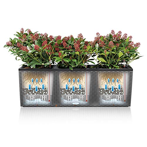 Lechuza 15025 Trio Cottage 40 Garden Indoor and Outdoor Use, Mocha Wicker Self-Watering Planter, 3 @ 13.5" sq