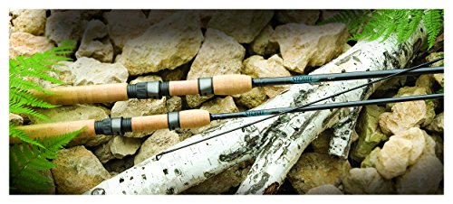 St. Croix AVS70MHF Avid Graphite Spinning Fishing Rod with IPC Technology, 7-feet