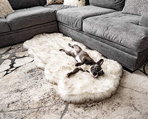 Treat A Dog Puprug Runner Faux Fur Memory Foam Orthopedic Dog Bed, Pressure-Relieving Memory Foam, Minimize Joint Pain and Improve A Dog’s Health and Mobility (Curve White)