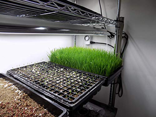 Extra Strength Seed Starter Kit, 10 Pack Combo, 10 of Each - 1020 Tray, Humidity Dome, 50 Cell Plug Tray