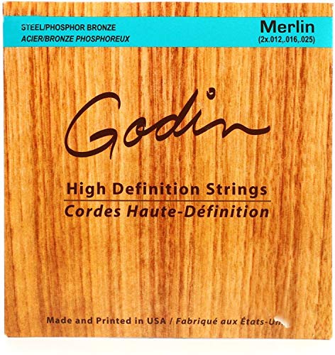 Seagull M4 Merlin Mahogany EQ Acoustic-Electric Dulcimer with Extra Set of M4 Strings (042517)