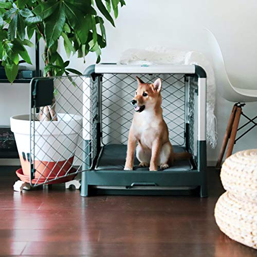 Diggs Revol Collapsible Dog Crate, Small