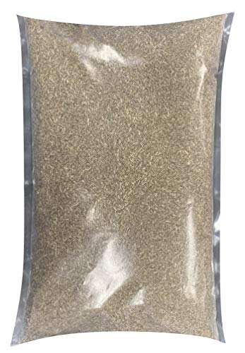 Jacklin Seed Swift & Sure Sun Shade Blend 40% Perennial Ryegrass 30% Kentucky Bluegrass Creeping Red Fescue Certified Grass Seed
