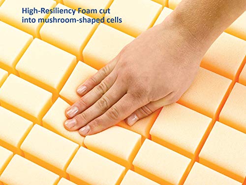 Invacare Etude Homecare Full-Electric Bed with Softform Premier Mattress