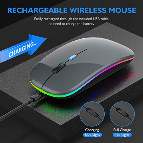 LED Bluetooth Mouse,Bluetooth Mouse for ipad/ipad Pro,Wireless Mouse for MacBook Pro/MacBook Air/Pc/Laptop(BT+2.4 (Gray))