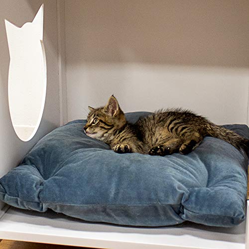 Penn-Plax Cat Walk Furniture: Contemporary Home Cat Litter Enclosure - Storage Drawer, Inner Shelf, and Shutter Style Door - White