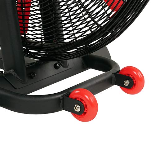 Sunny Health & Fitness Exercise Tornado Fan Air Bike with Bluetooth and Heart Rate Compatibility - SF-B2729 (SF-B2729)