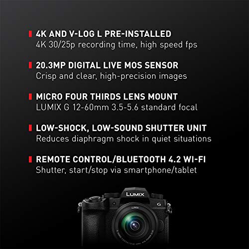 Panasonic 20.3 Megapixel Mirrorless Camera 12-60mm F3.5-5.6 Micro Four Thirds Lens 5-Axis Dual I.S. 2 4K 24p 30p Video Pre Installed L 3” Flip Out
