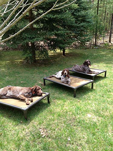 Kuranda Walnut PVC Chewproof Dog Bed - XXL (50x36) - Cordura - Khaki