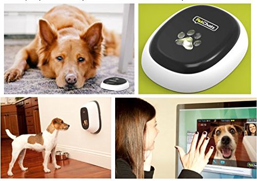 PetChatz HDX: New USA Made Premium 2Way Audio&Video Pet Treat Camera, HD 1080p