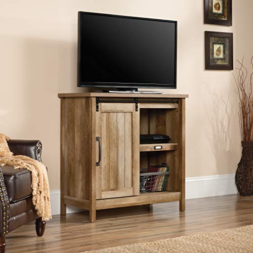 Sauder Adept Storage Accent Storage Cabinet, For TV's up to 39", Craftsman Oak finish