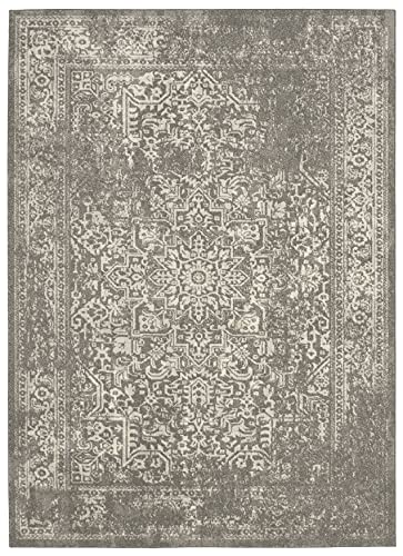 SAFAVIEH Evoke Collection EVK256S Oriental Distressed Non-Shedding Living Room Bedroom Dining Home Office Area Rug, 6'7" x 9', Silver / Ivory