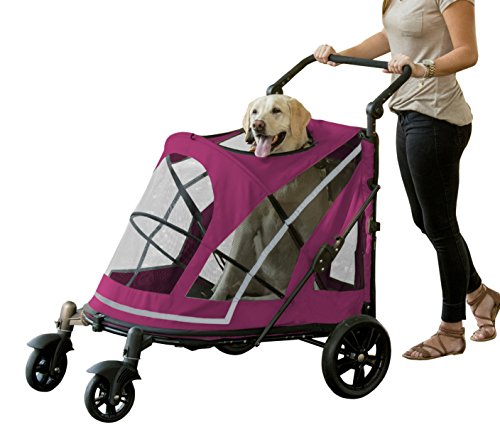 Pet Gear NO-ZIP Stroller Push Button Dual Entry Single Or Multiple Dogs/Cats Can Easily Walk In/Out No Need To Lift Boysenberry Expedition