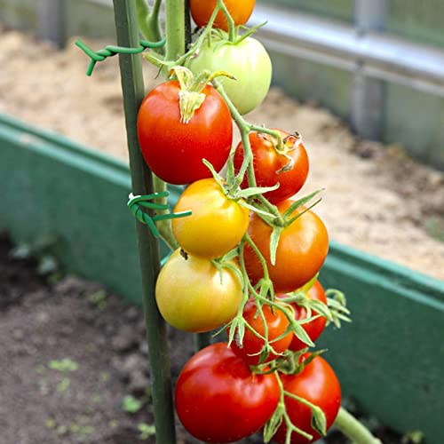 Legigo 65.6 Feet Rubber Wire Twist Ties Plant Tie, Reusable Heavy Duty Garden Wire Ties for Plants, Soft Plant Wire for Support Plant Flowers Stems, Stalks, Vines, Tomato Branches (20 Meters)