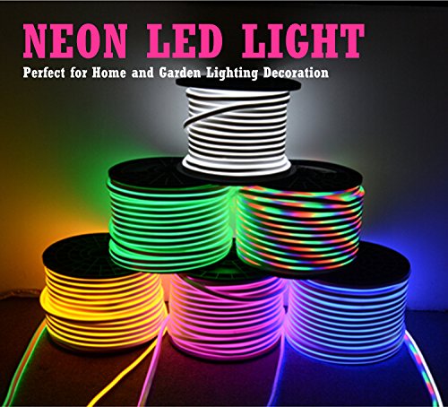 LED NEON Light IEKOV AC 110-120V Flexible Strip120 LEDs/M Dimmable Waterproof 2835 SMD LED Rope Remote Controller 98.4ft/30m