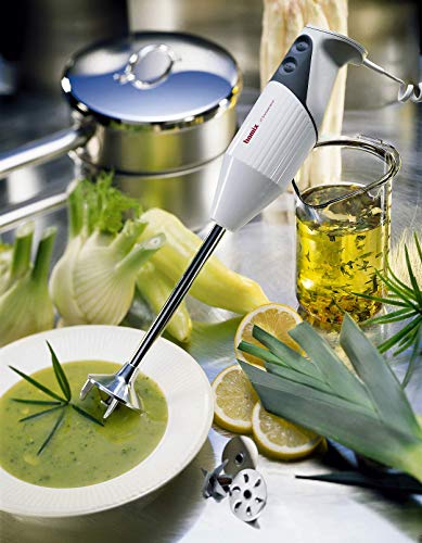 Bamix G200 Gastro Professional Immersion Hand Blender Light Grey 3 Stainless Steel Blades NSF Rated for Professional Cooking Projects