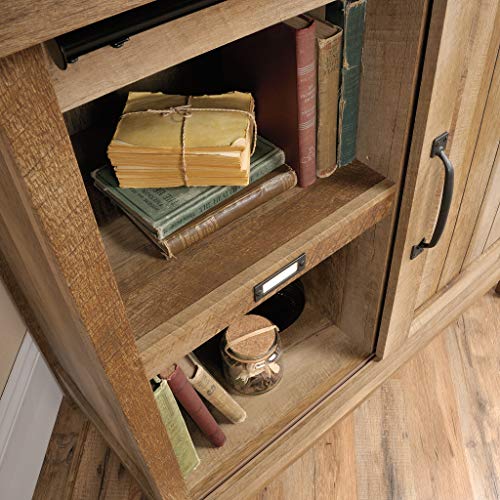 Sauder Adept Storage Accent Storage Cabinet, For TV's up to 39", Craftsman Oak finish