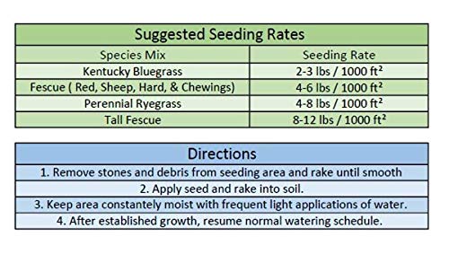 Jacklin Seed Swift & Sure Sun Shade Blend 40% Perennial Ryegrass 30% Kentucky Bluegrass Creeping Red Fescue Certified Grass Seed