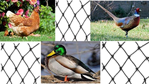 Excursions Aviary Netting Heavy Knotted 2 inch Poultry Net (50 ft x 150 ft)