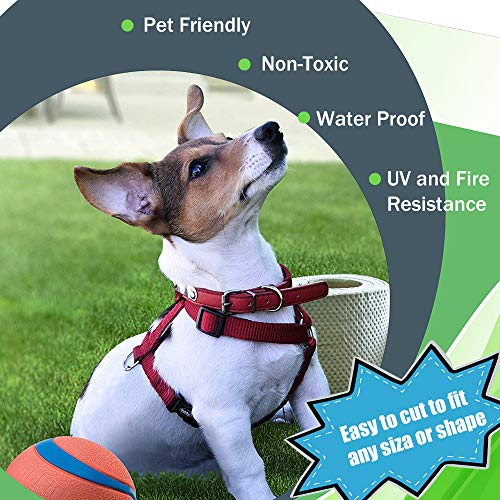 Fas Home Artificial Grass Turf 9FTX81FT(729Square FT),0.8" Pile Height Realistic Synthetic Grass, Drainage Holes Indoor Outdoor Faux Grass Astro Rug Carpet for Pet Dog Garden Backyard Balcony