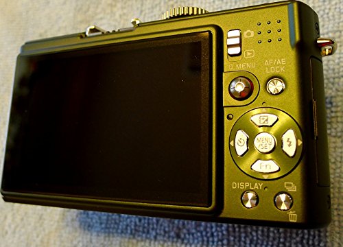 Leica Safari D LUX 4 Safari Special Edition Digital Camera (Green)