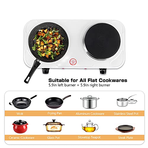 2000W Electric Hot Plate,Mini Double Burner Countertop Cooker Compatible for All Cookwares Cooking with 5 Power Adjustment,Easy to Clean,Portable for Kitchen Camping RV Hotel 110V