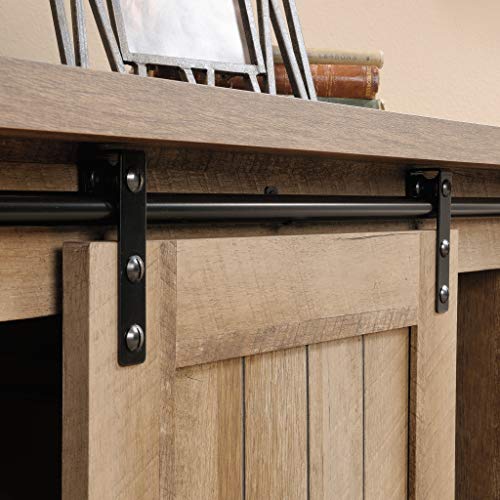 Sauder Adept Storage Accent Storage Cabinet, For TV's up to 39", Craftsman Oak finish