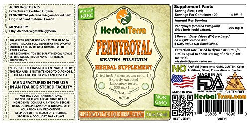 Pennyroyal (Mentha Pulegium) Tincture, Organic Dried Herb Liquid Extract (Brand Name: HerbalTerra, Proudly Made in USA) 30x2 fl.oz (30x60 ml)