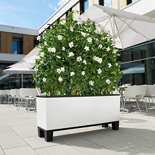 Lechuza 15025 Trio Cottage 40 Garden Indoor and Outdoor Use, Mocha Wicker Self-Watering Planter, 3 @ 13.5" sq