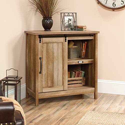 Sauder Adept Storage Accent Storage Cabinet, For TV's up to 39", Craftsman Oak finish