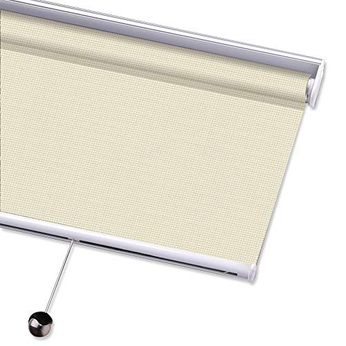 PASSENGER PIGEON Solar Window Shades, Premium Free-Stop Cordless Light Filtering UV Protection Flame Retardant Water Proof Custom Made Roller Shade,44" W x 60" L,Beige
