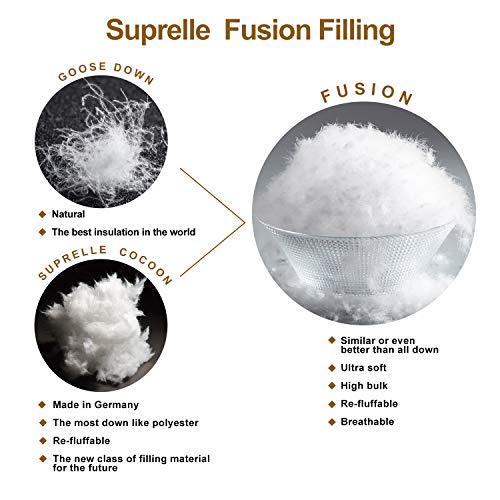 Globon Fusion White Goose Down Comforter Queen Size All Cotton 300 Thread Count Shell Hypoallergenic W/ Corner Tabs