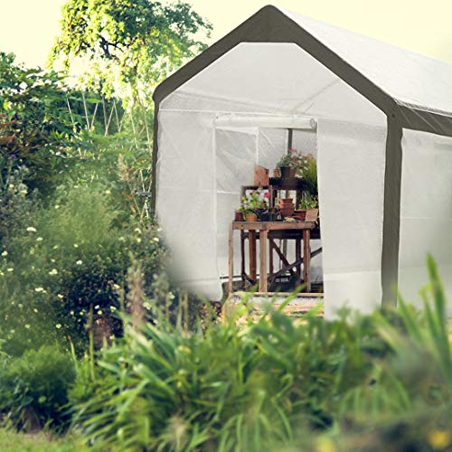 Abba Patio 10 x 20-Feet Large Walk in Fully Enclosed Lawn and Garden Greenhouse with Windows, White