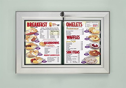11 x 17 Outdoor Poster Case with Locking, Hinged Door, Includes Rubber Gasket to Prevent Damage from Moisture, Aluminum (Silver)