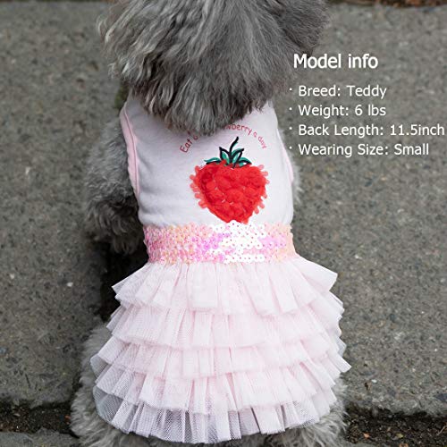 KYEESE Dog Dresses Strawberry Tiered Ruffle Dogs Dresses Pink with Sequins Medium Dog Dress for Sprimg Summer